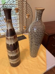 It's a Yellow Bird Bonanza in Chestatee - Image 353