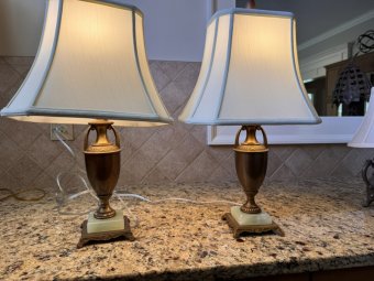 It's a Yellow Bird Bonanza in Chestatee - Image 365