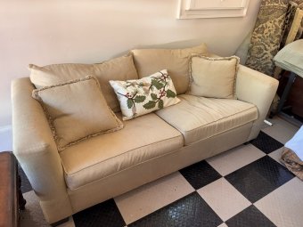 It's a Yellow Bird Bonanza in Chestatee - Image 371