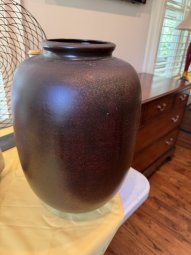 It's a Yellow Bird Bonanza in Chestatee - Image 376