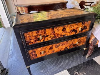 It's a Yellow Bird Bonanza in Chestatee - Image 377