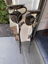 It's a Yellow Bird Bonanza in Chestatee - Image 379