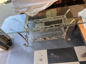 It's a Yellow Bird Bonanza in Chestatee - Image 384