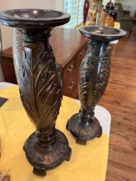 It's a Yellow Bird Bonanza in Chestatee - Image 385