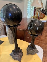 It's a Yellow Bird Bonanza in Chestatee - Image 387