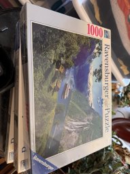 It's a Yellow Bird Bonanza in Chestatee - Image 392