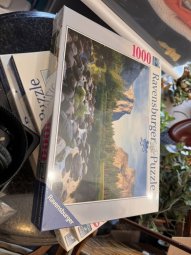 It's a Yellow Bird Bonanza in Chestatee - Image 393