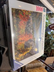 It's a Yellow Bird Bonanza in Chestatee - Image 394