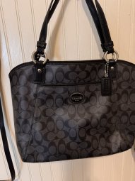 It's a Yellow Bird Bonanza in Chestatee - Image 398