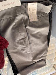 It's a Yellow Bird Bonanza in Chestatee - Image 403