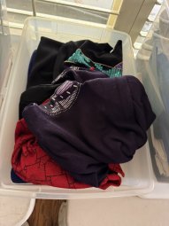 It's a Yellow Bird Bonanza in Chestatee - Image 404