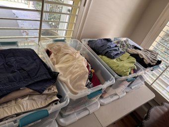 It's a Yellow Bird Bonanza in Chestatee - Image 405