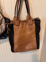 It's a Yellow Bird Bonanza in Chestatee - Image 407