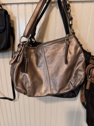 It's a Yellow Bird Bonanza in Chestatee - Image 408