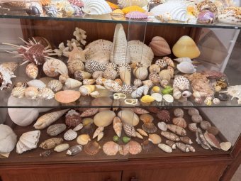We've Mined a Great Sale in Jasper - Image 15