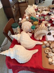 We've Mined a Great Sale in Jasper - Image 28