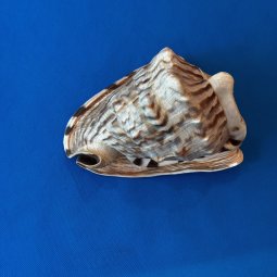We've Mined a Great Sale in Jasper - Image 127