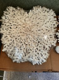 We've Mined a Great Sale in Jasper - Image 137