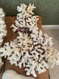We've Mined a Great Sale in Jasper - Image 138