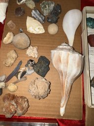 We've Mined a Great Sale in Jasper - Image 152