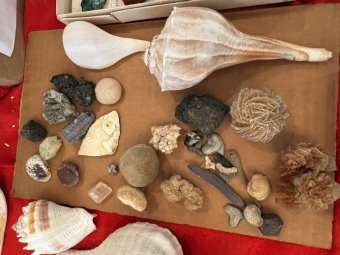 We've Mined a Great Sale in Jasper - Image 160