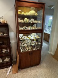 We've Mined a Great Sale in Jasper - Image 174