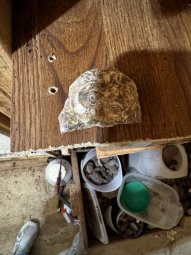 We've Mined a Great Sale in Jasper - Image 295