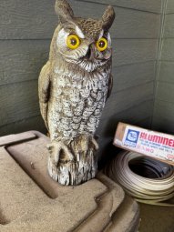 It's a Grand Old Yellow Bird Sale in Lawrenceville - Image 39