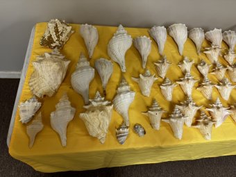 We've Mined a Great Sale in Jasper - Image 331