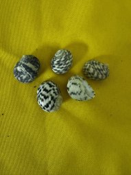 We've Mined a Great Sale in Jasper - Image 337