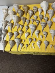 We've Mined a Great Sale in Jasper - Image 346