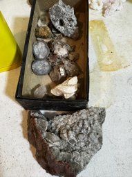 We've Mined a Great Sale in Jasper - Image 376