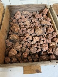 We've Mined a Great Sale in Jasper - Image 388