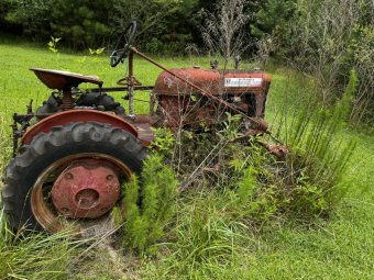 It's a Farm Sale So Big We Need Four Days - Image 77