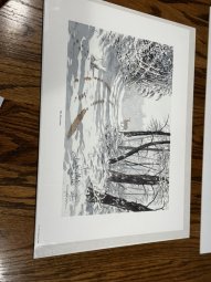It's a Picture Perfect Sale in Gainesville - Image 113