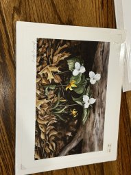 It's a Picture Perfect Sale in Gainesville - Image 116