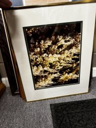 It's a Picture Perfect Sale in Gainesville - Image 254