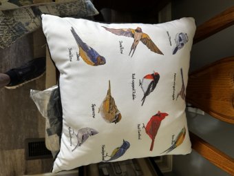 We're Back in Gainesville for Another Great Yellowbird Sale - Image 34