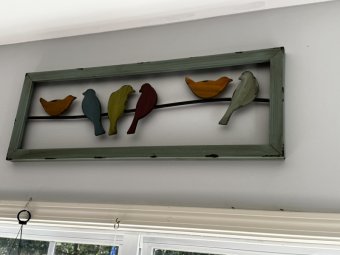 We're Back in Gainesville for Another Great Yellowbird Sale - Image 46