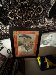 We're Back in Gainesville for Another Great Yellowbird Sale - Image 168