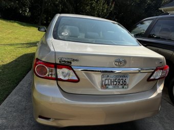 We're Back in Gainesville for Another Great Yellowbird Sale - Image 250