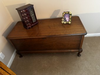 It's a Yellow Bird Sale with a Little Bit of Everything - Image 389