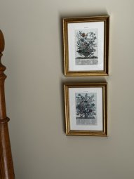 It's a RED DOT Sale, RED DOT Items 75% Off Everything Else 50% Off in Gainesville - Image 51